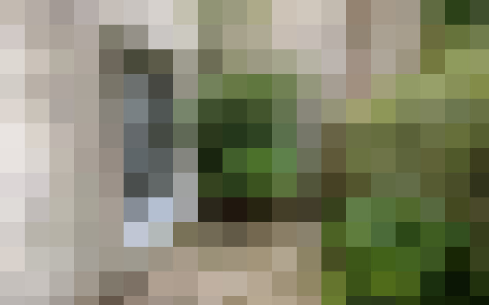  / #19