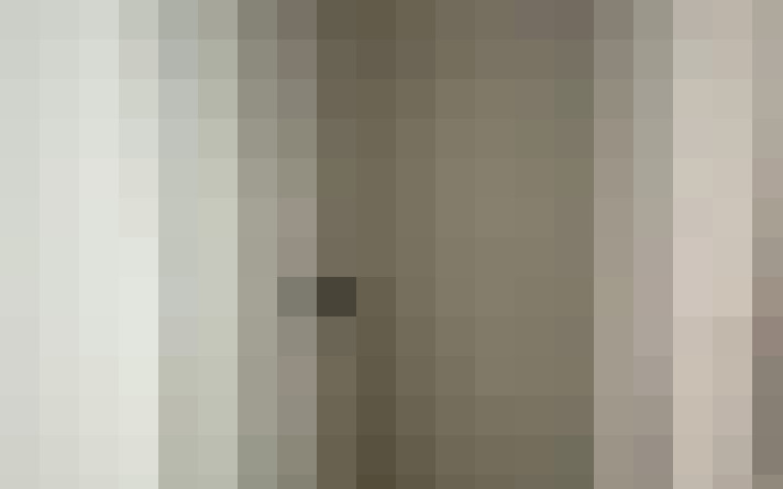  / #15