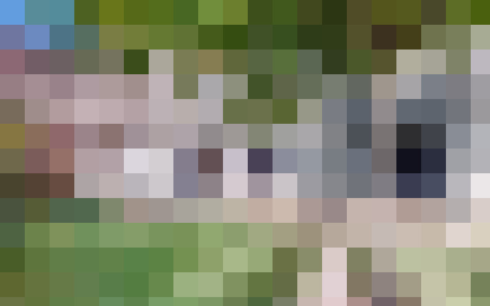  / #13