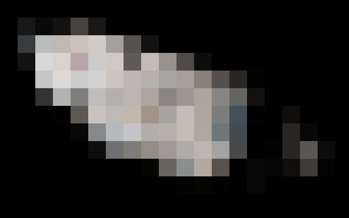  / #11