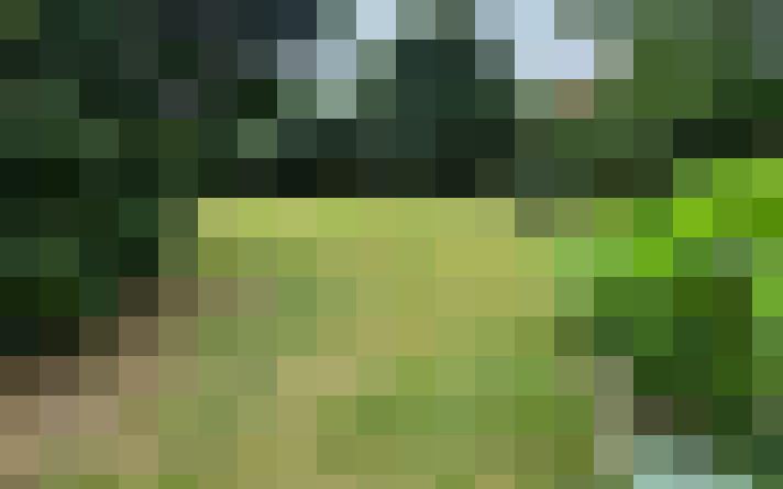  / #15