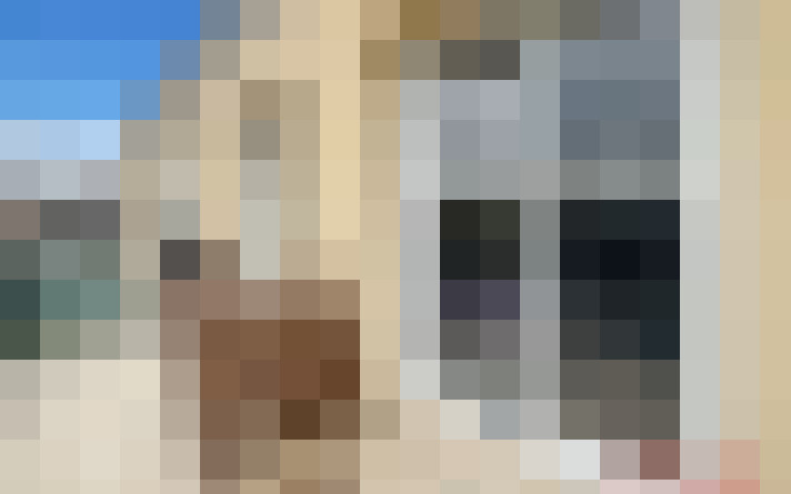  / #15