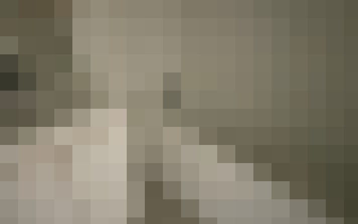  / #13