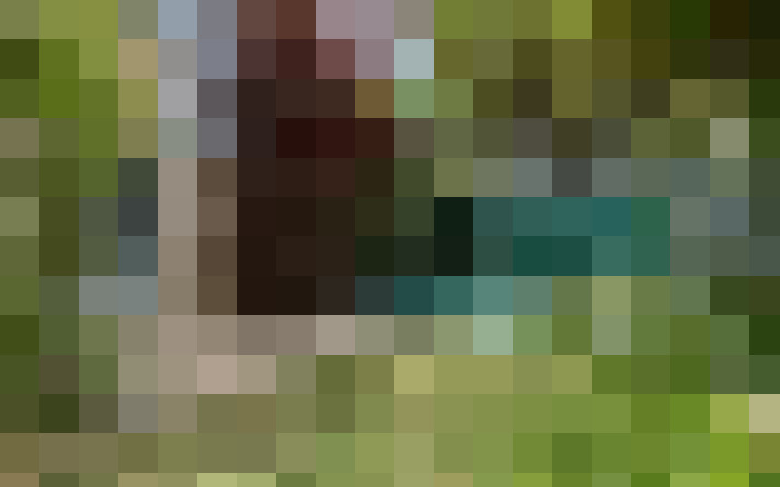 / #15