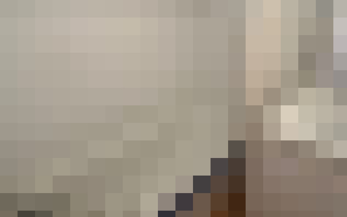  / #15