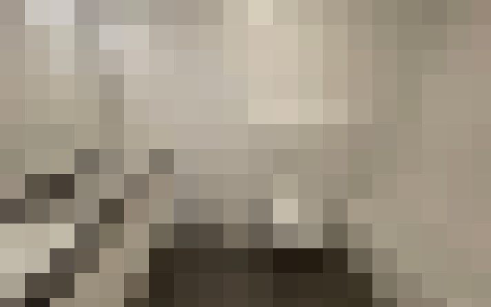  / #19