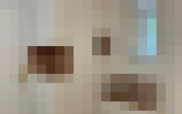  / #11