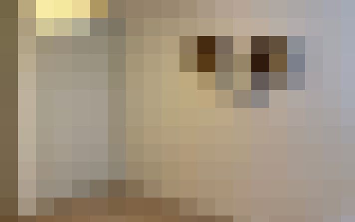  / #17