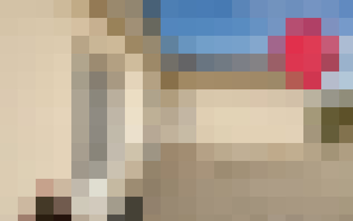  / #15
