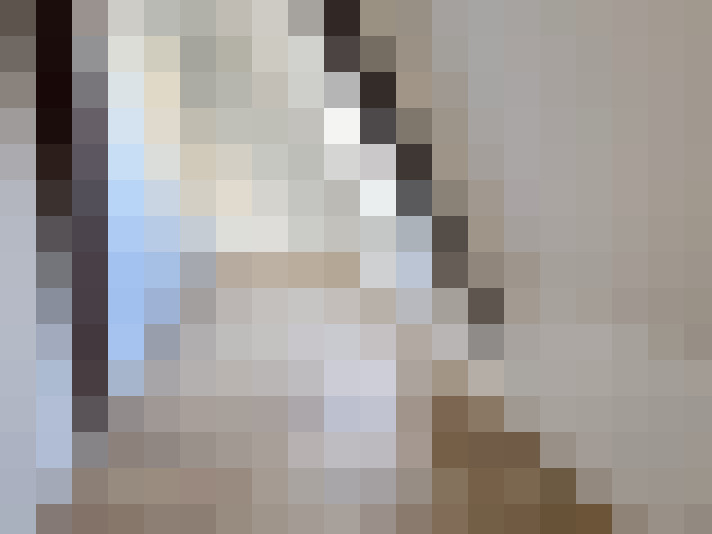  / #7