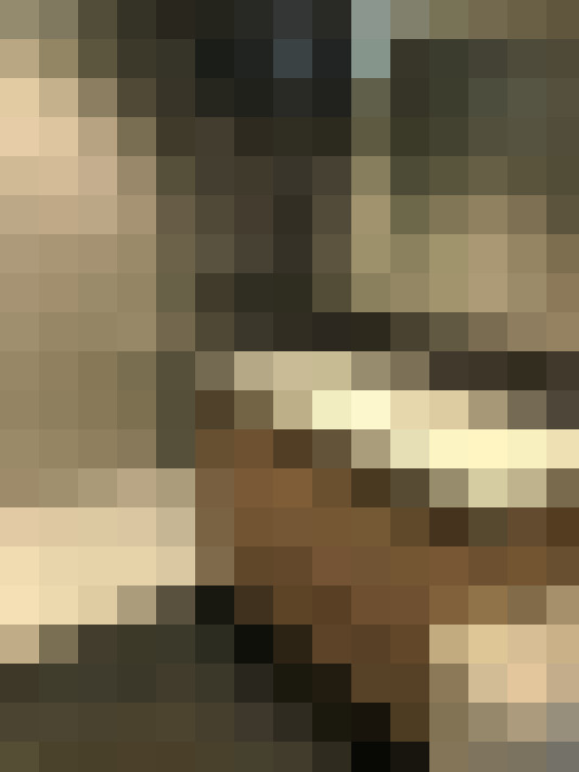  / #6
