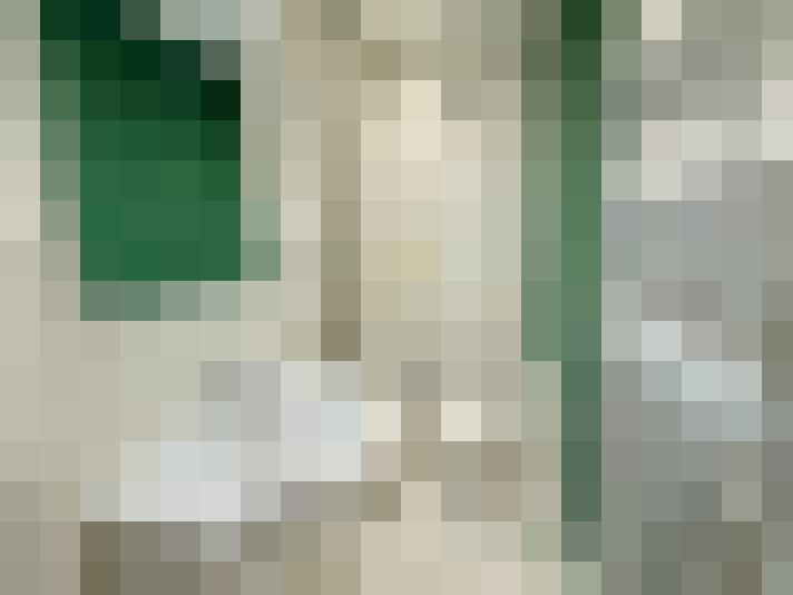  / #7