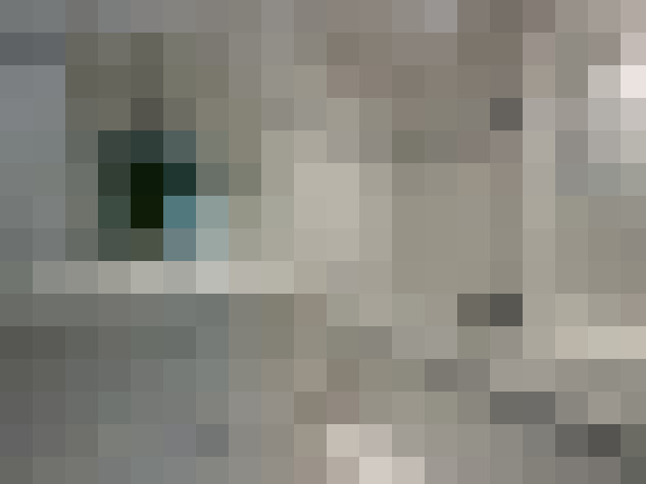  / #8