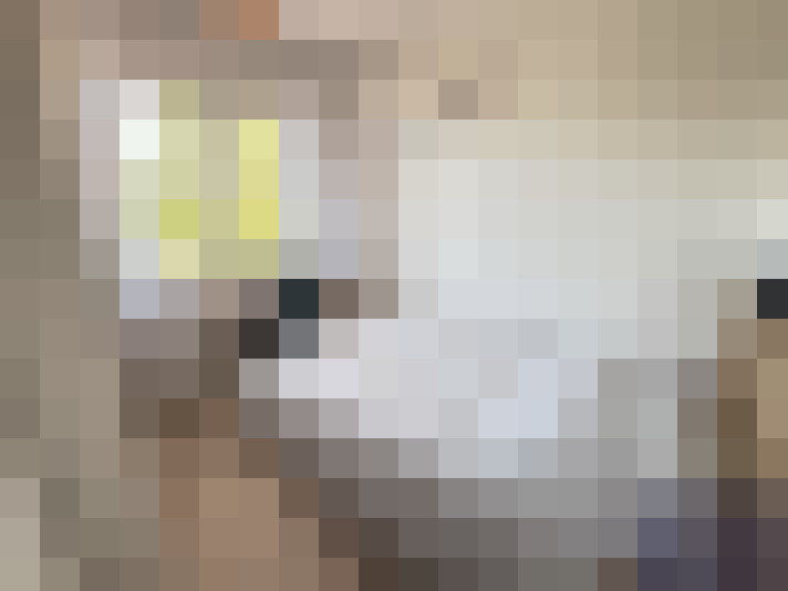  / #9