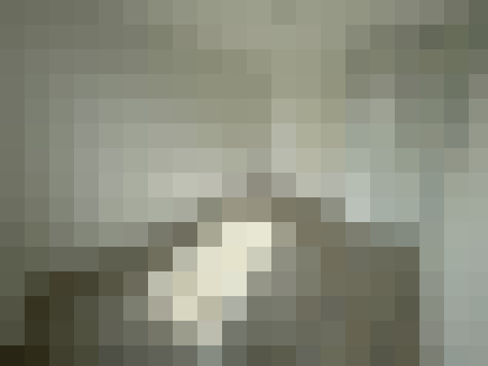  / #11