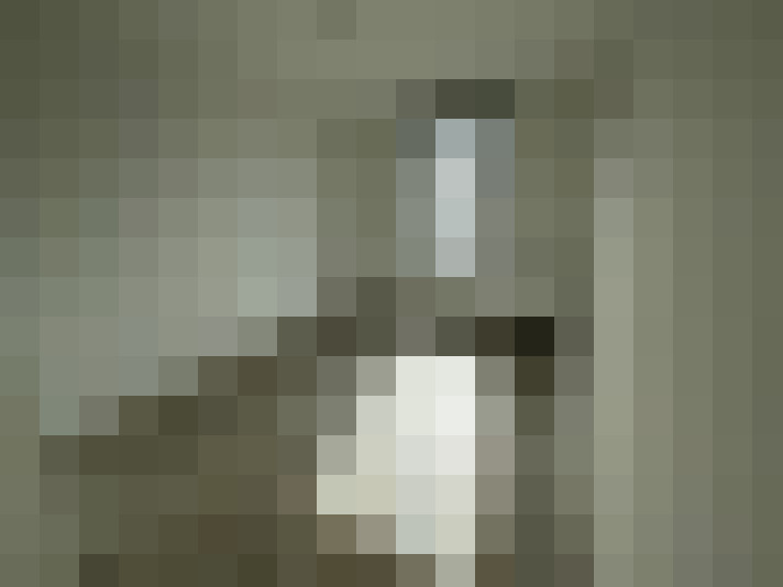  / #12