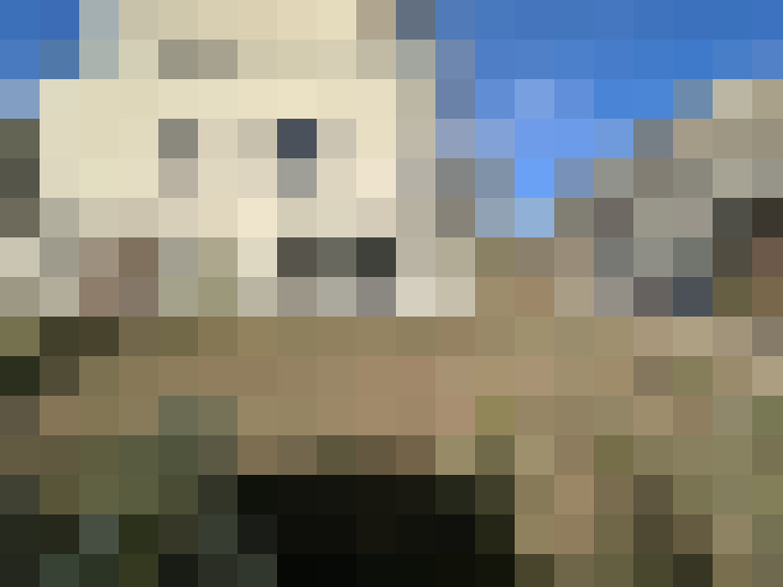  / #15