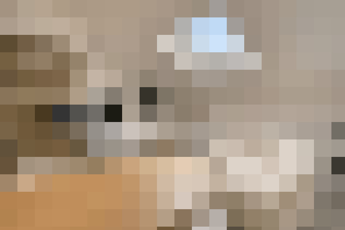  / #7
