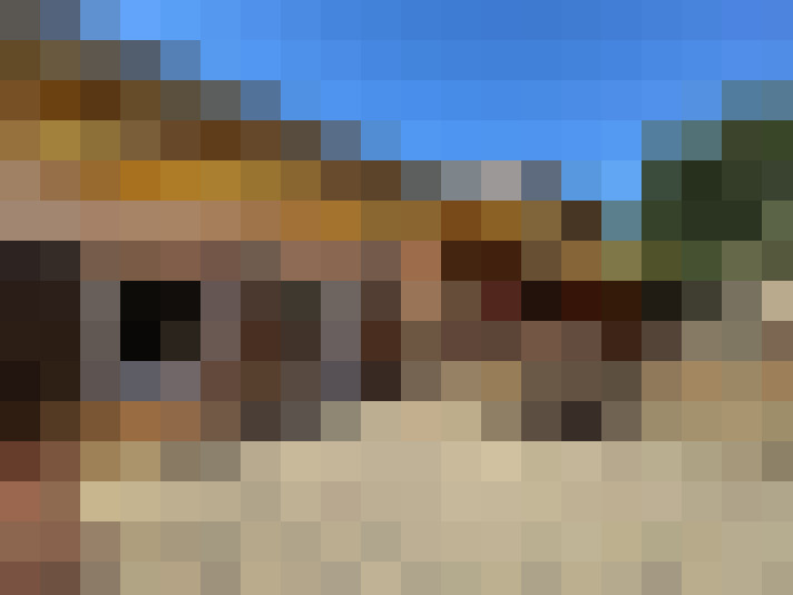  / #6