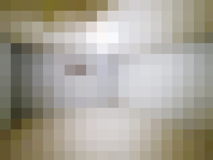  / #15