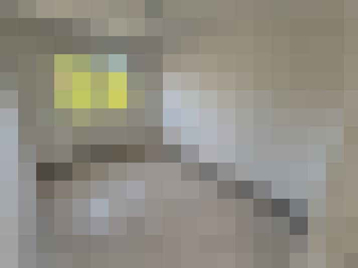  / #7