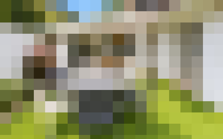  / #15