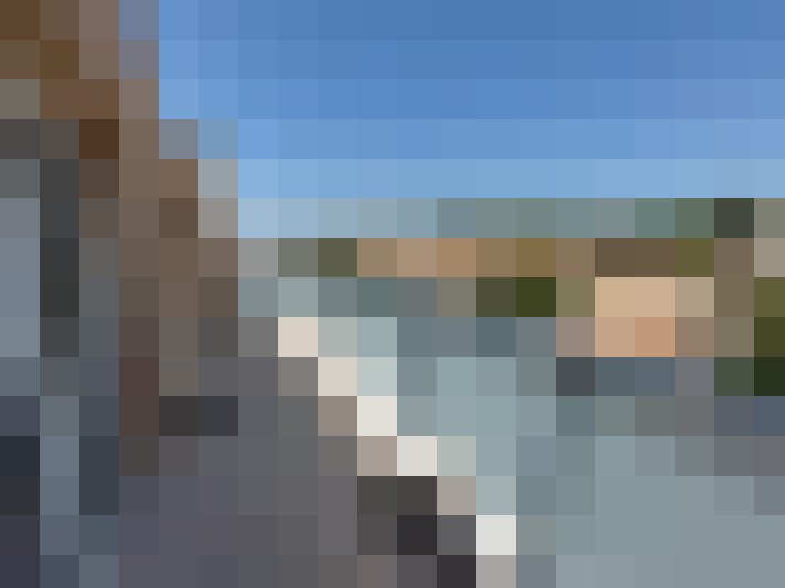  / #6