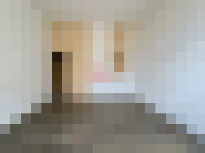  / #7