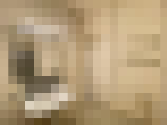  / #8
