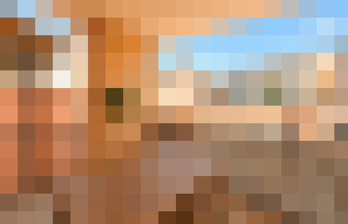  / #11