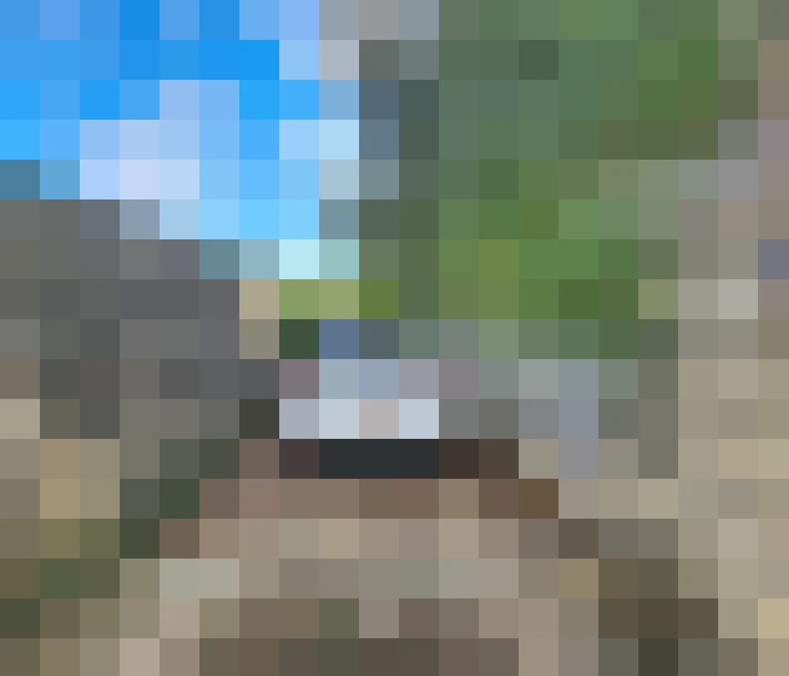  / #14