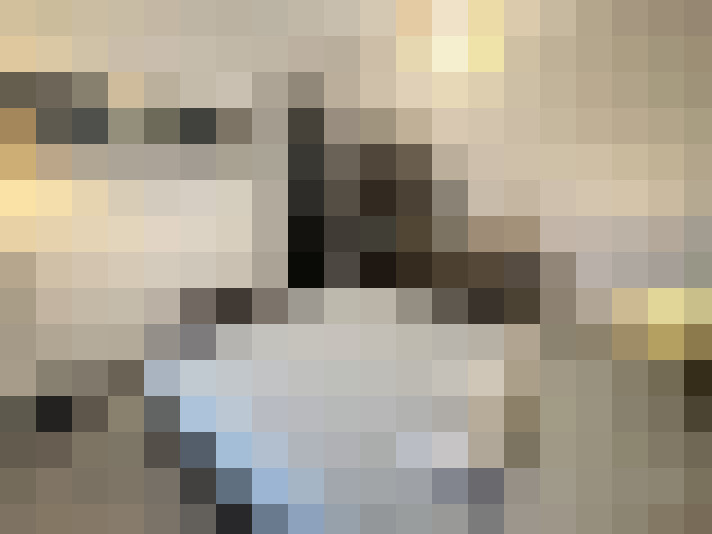  / #7