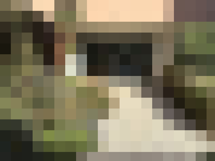  / #8
