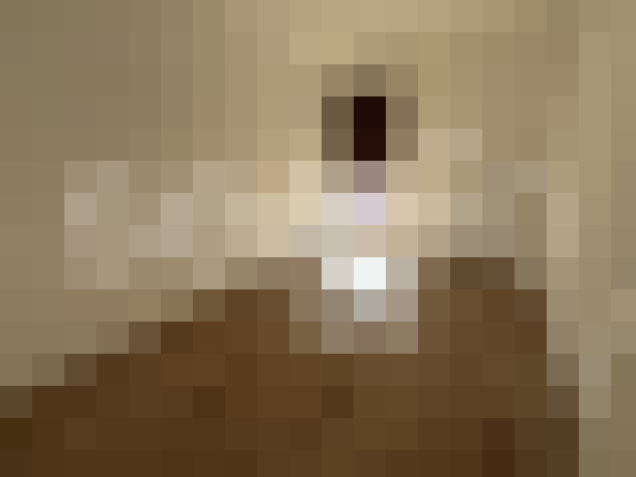  / #4
