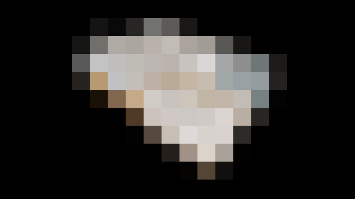  / #19