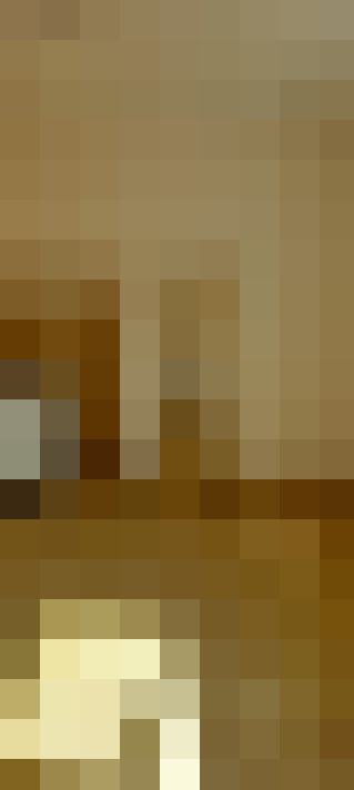  / #6