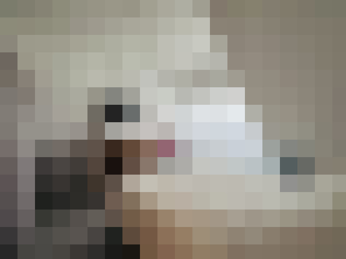  / #7