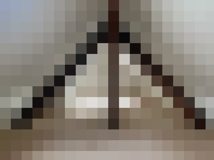  / #16