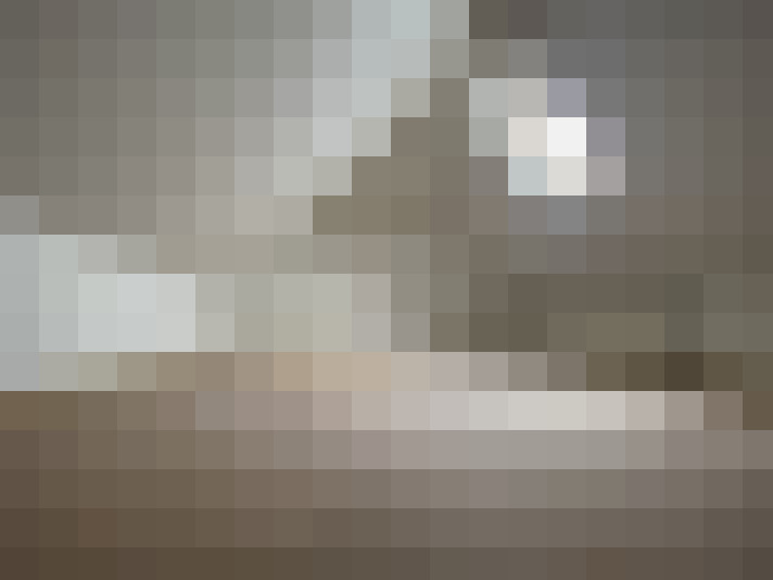  / #15