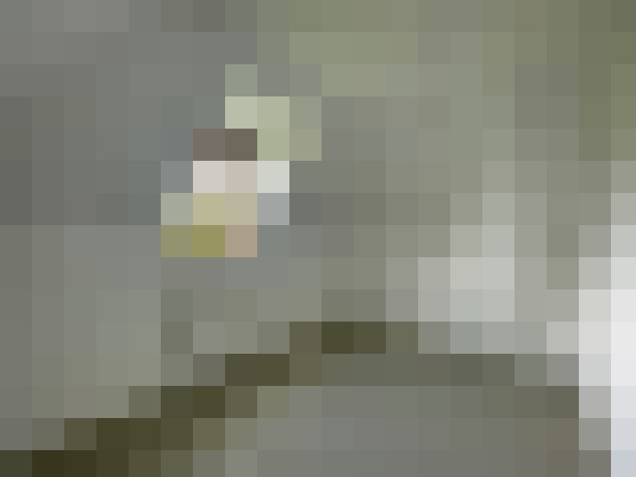  / #7