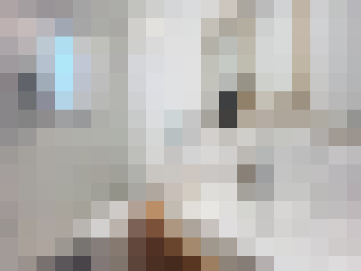  / #8