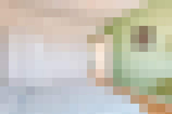  / #7