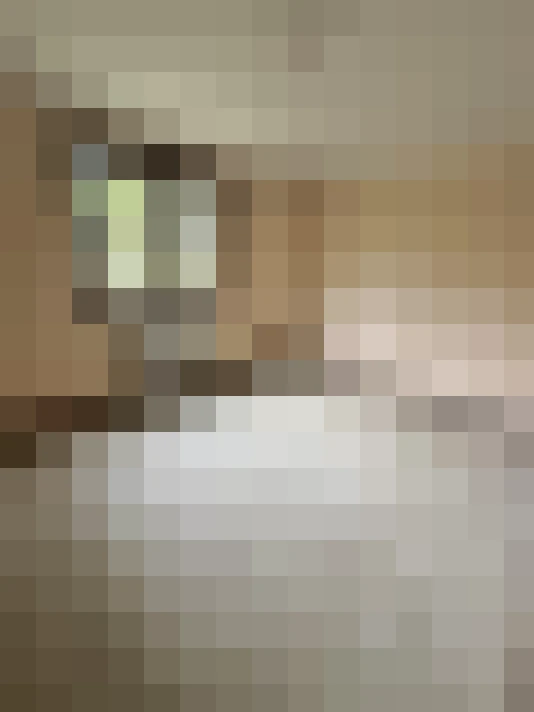  / #31