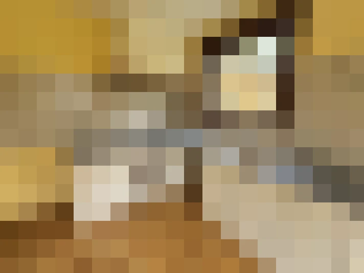  / #19