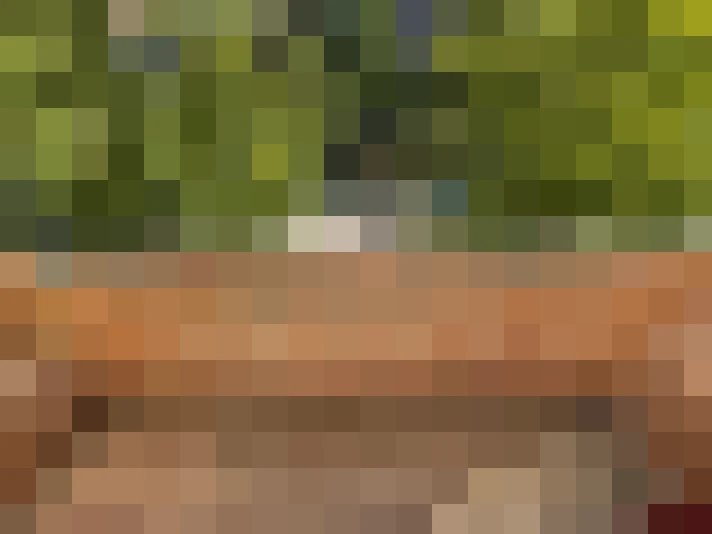  / #14