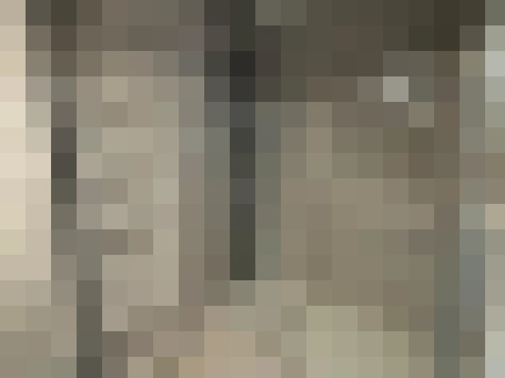  / #19