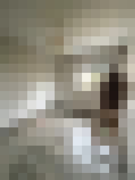  / #15