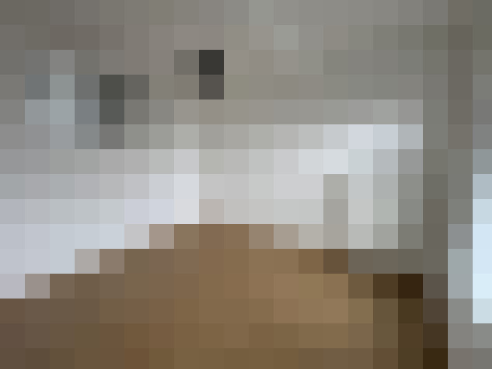  / #8