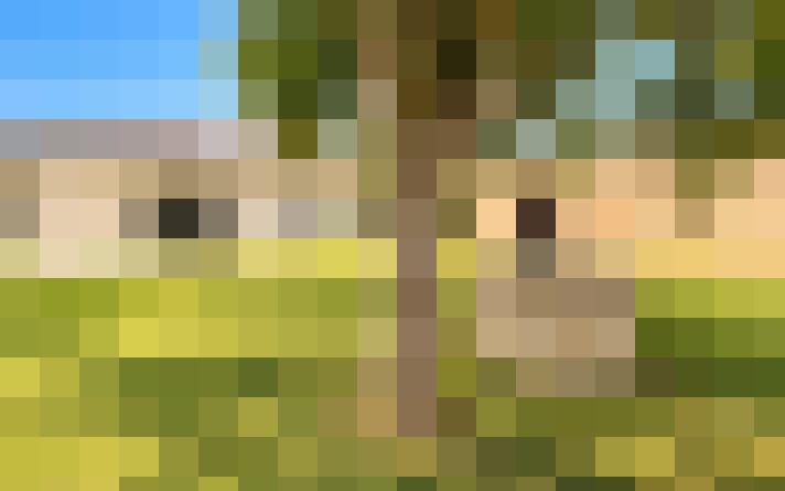  / #15