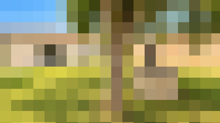  / #16